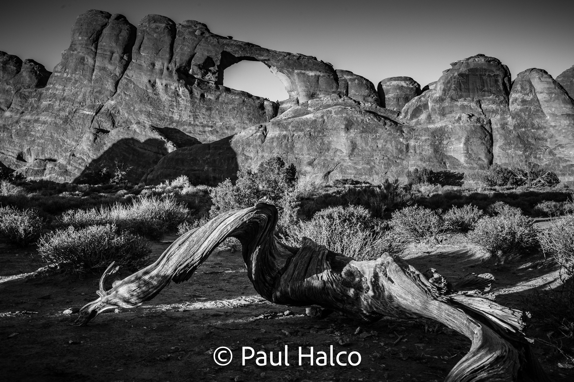 Paul Halco - Arches NP-31